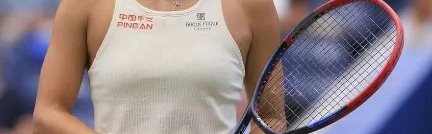 王雅繁因伤退出澳网，中国女单仅剩两人，梅总进决赛迎城市定律