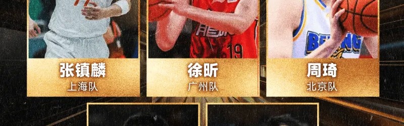 世界杯手机观看-CBA国内球员二阵：徐昕、周琦、张镇麟、高诗岩、林庭谦