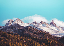 世界杯客户端升级-鲍威尔或在下赛季迎来爆发 他还需提升这三点